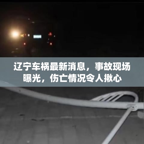 辽宁车祸最新消息，事故现场曝光，伤亡情况令人揪心