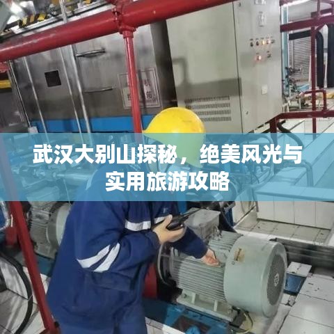 物离乡贵