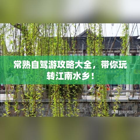 纲挈目张