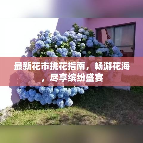 最新花市挑花指南，畅游花海，尽享缤纷盛宴