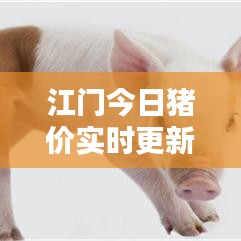 江门今日猪价实时更新，最新行情查询