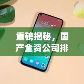 重磅揭秘，国产全资公司排名及影响力深度剖析