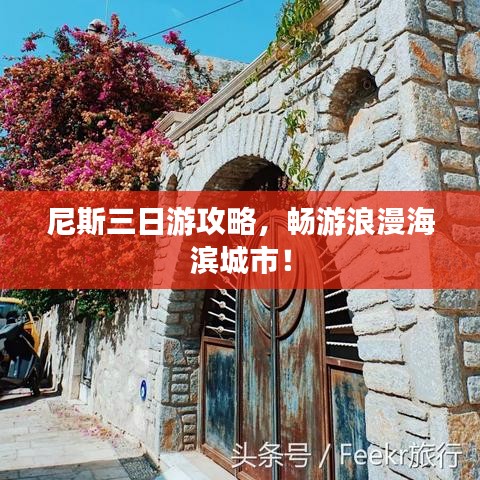 尼斯三日游攻略，畅游浪漫海滨城市！