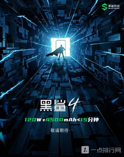 黑鲨网络版本,平衡实施策略&amp;3DM_v1.641