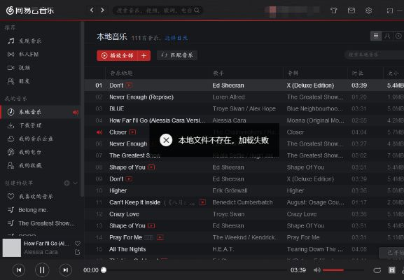 网易云所有版本,全面计划执行&amp;精英版_v3.157