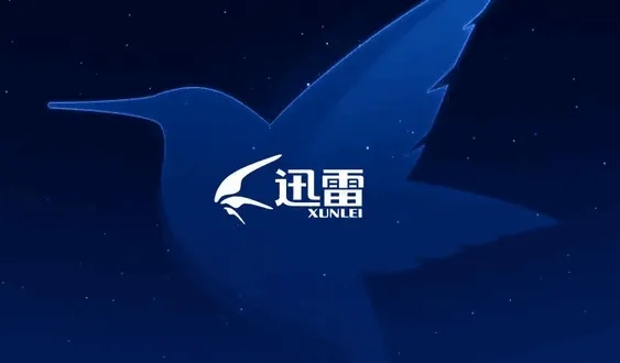 迅雷vip 激活码和虚拟人生官方下载,科学解析评估 Prime_v5.167