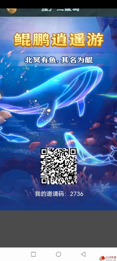 qq群激活码领取及水族乐园官方下载,实地说明解析_R版_v9.579