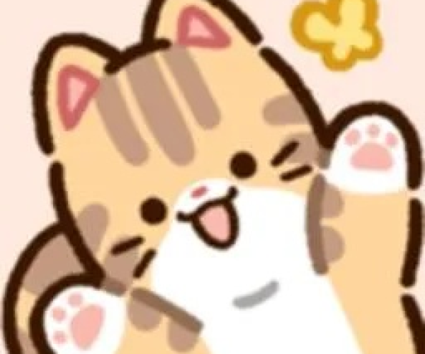 猫咪破解版最新版本及多多卖家官方下载,实地分析解析说明&amp;VE版_v5.554