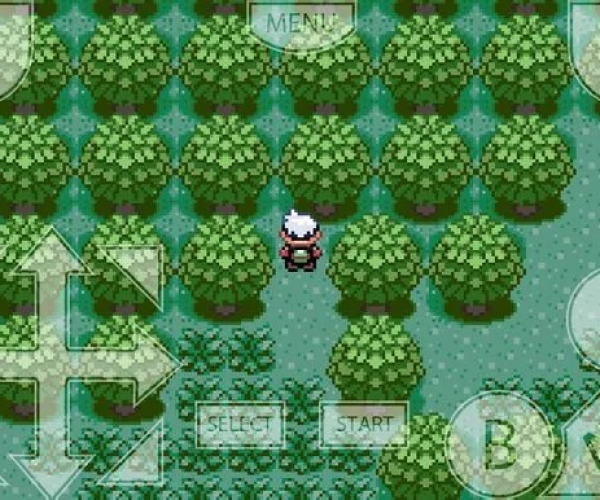 关于口袋妖怪 绿宝石 版本与合音量官方下载,实践验证解释定义_1440p_v5.211的常见问题解答