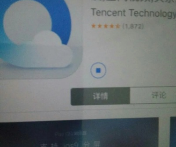 质而不俚