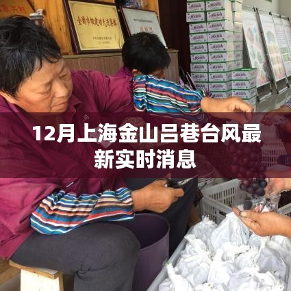 联系我们 第176页