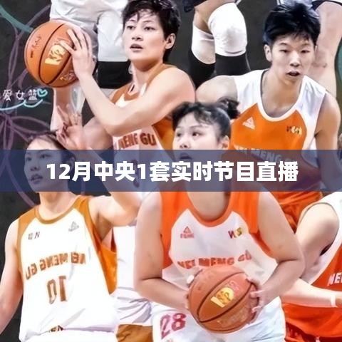 第1421页