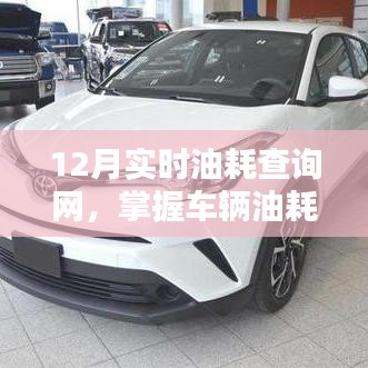 掌握车辆油耗，细节决定一切——实时油耗查询网