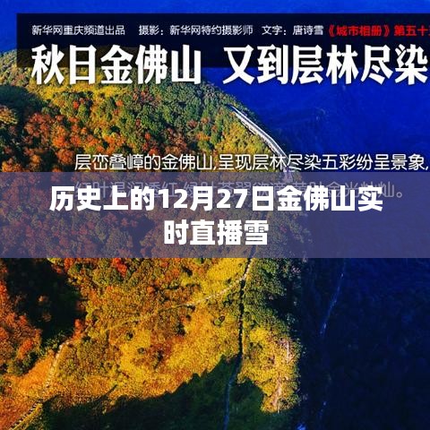 金佛山雪景直播回顾，历史上的雪韵风华