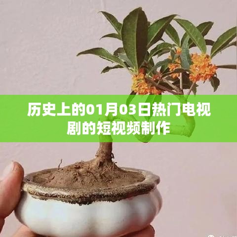 热门电视剧短视频制作盘点，历史上的那些日子