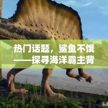 揭秘鲨鱼不饿背后的秘密，海洋霸主生存之谜