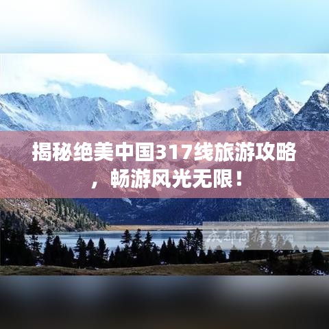 雍容华贵 第3页