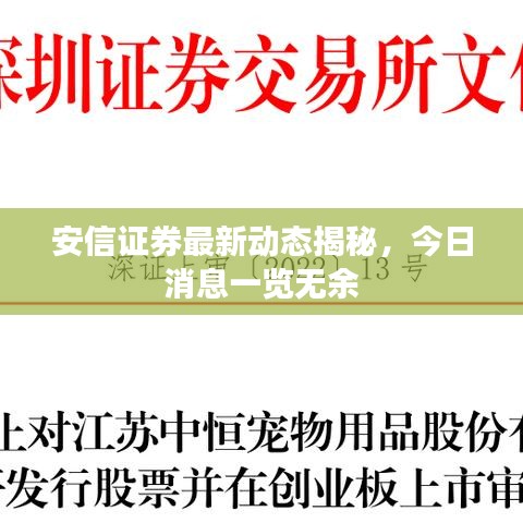 安信证券最新动态揭秘，今日消息一览无余