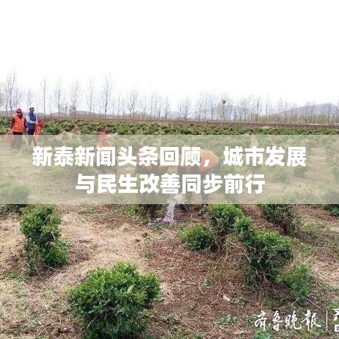 将计就计 第2页