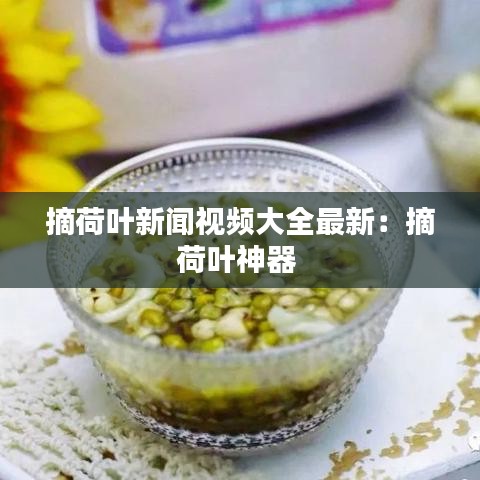 摘荷叶新闻视频大全最新：摘荷叶神器 