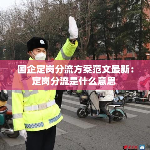 国企定岗分流方案范文最新：定岗分流是什么意思 