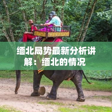 缅北局势最新分析讲解：缅北的情况 