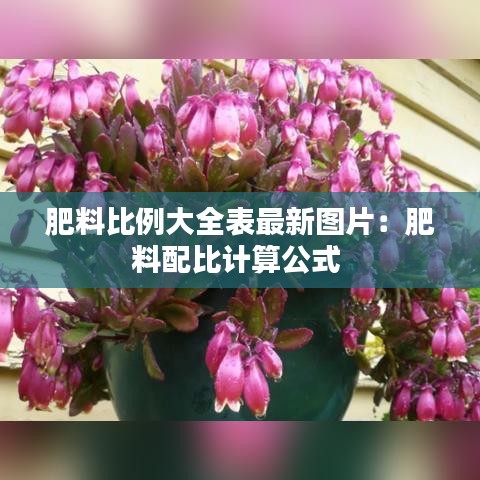 肥料比例大全表最新图片：肥料配比计算公式 