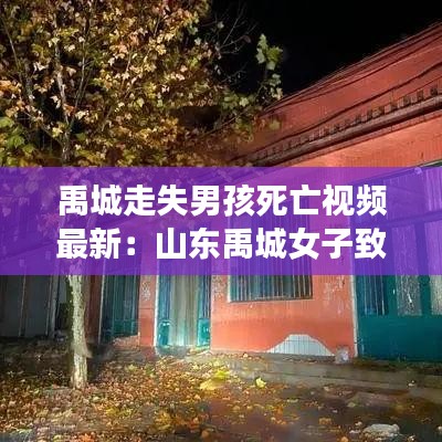 禹城走失男孩死亡视频最新：山东禹城女子致死案 