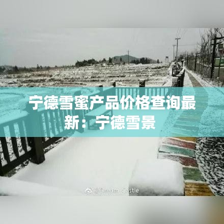 宁德雪蜜产品价格查询最新：宁德雪景 