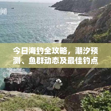 今日海钓全攻略，潮汐预测、鱼群动态及最佳钓点推荐消息大揭秘