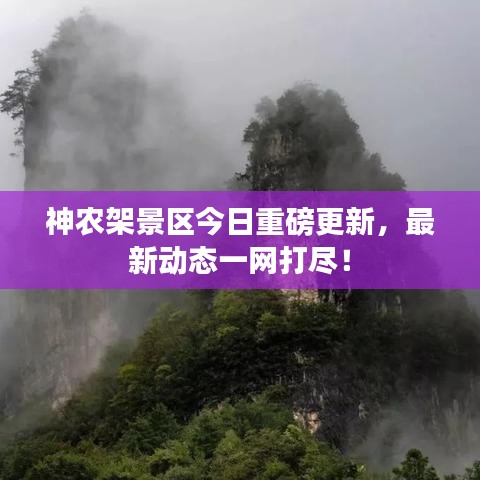 神农架景区今日重磅更新，最新动态一网打尽！