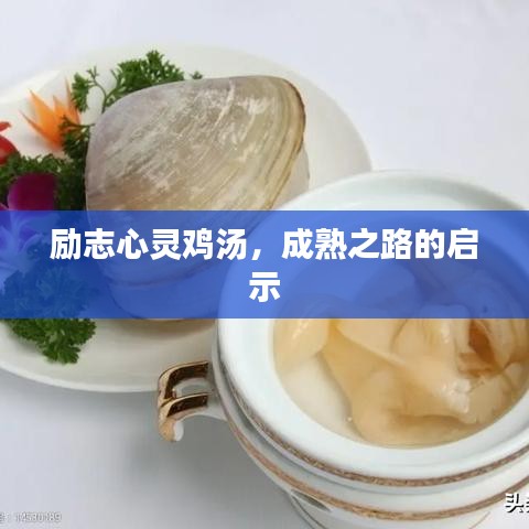 励志心灵鸡汤，成熟之路的启示