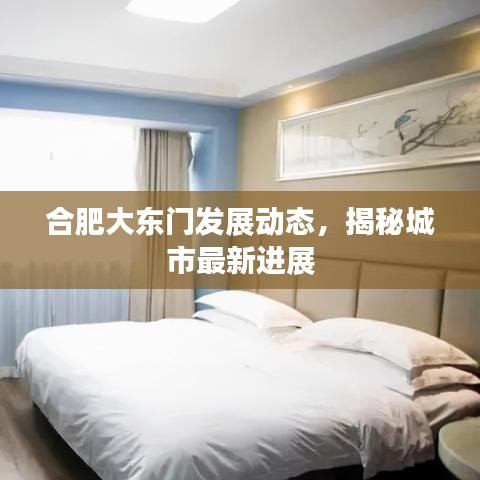 合肥大东门发展动态，揭秘城市最新进展