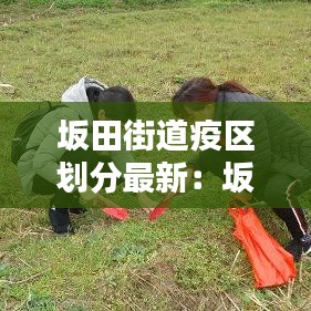坂田街道疫区划分最新：坂田街道范围 
