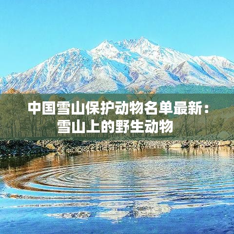 中国雪山保护动物名单最新：雪山上的野生动物 