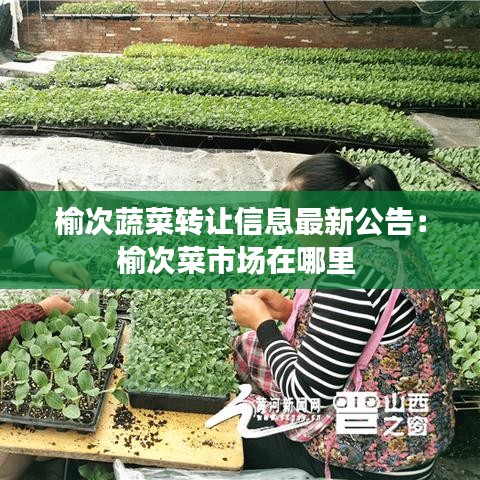 榆次蔬菜转让信息最新公告：榆次菜市场在哪里 