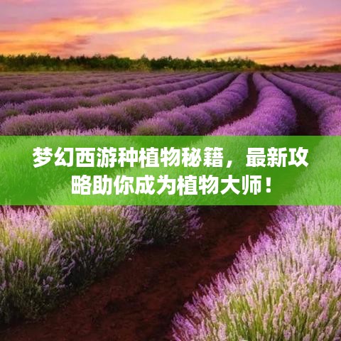 持之以恒 第2页
