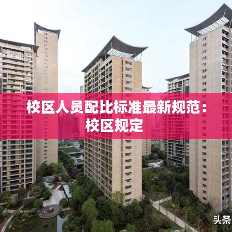 校区人员配比标准最新规范：校区规定 