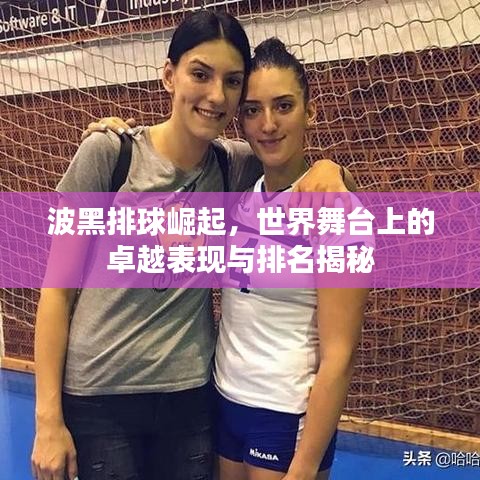 波黑排球崛起，世界舞台上的卓越表现与排名揭秘
