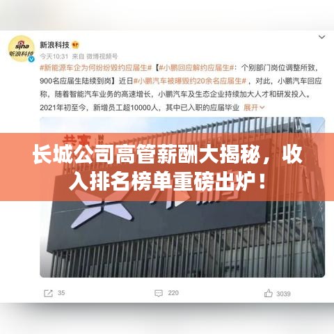 长城公司高管薪酬大揭秘，收入排名榜单重磅出炉！
