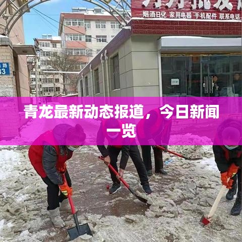 青龙最新动态报道，今日新闻一览