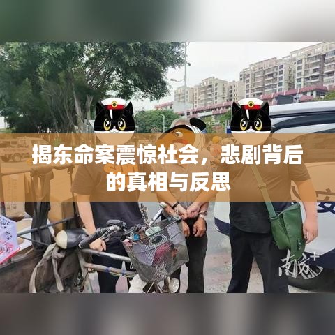 揭东命案震惊社会，悲剧背后的真相与反思