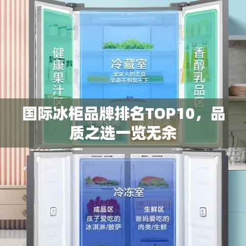 国际冰柜品牌排名TOP10，品质之选一览无余
