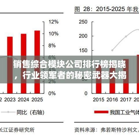 销售综合模块公司排行榜揭晓，行业领军者的秘密武器大揭秘！