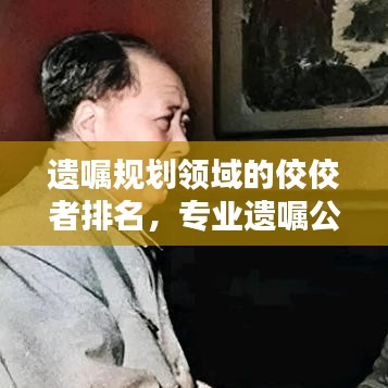 遗嘱规划领域的佼佼者排名，专业遗嘱公司一览无遗