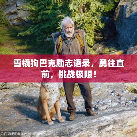 雪橇狗巴克励志语录，勇往直前，挑战极限！