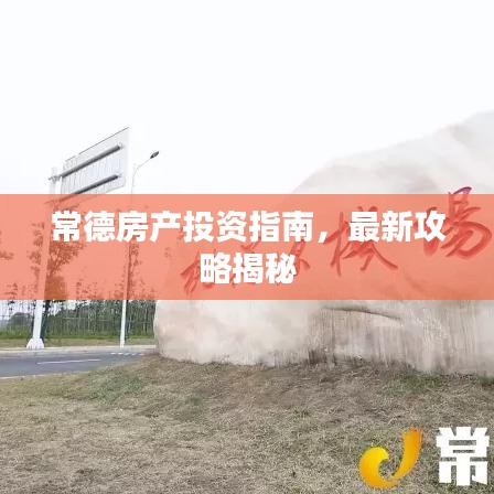乌鸟私情 第2页