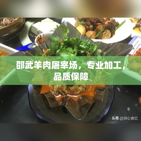 邵武羊肉屠宰场，专业加工，品质保障