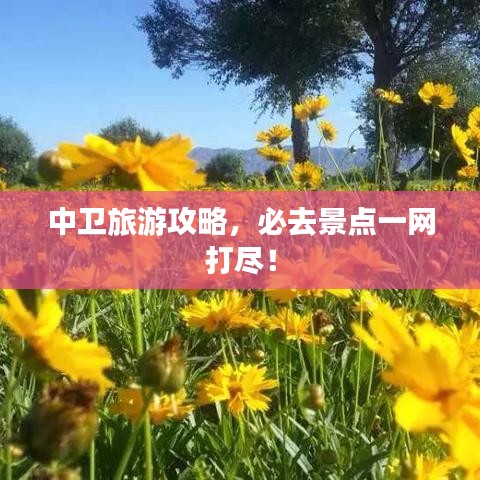 中卫旅游攻略，必去景点一网打尽！