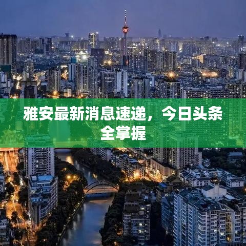 雅安最新消息速递，今日头条全掌握
